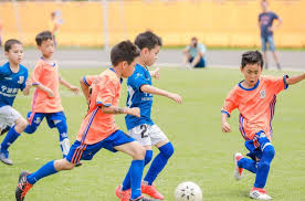 2026世界杯官方网站 舒适休闲，市政绿化景观草坪设计为城市注入宜居元素！